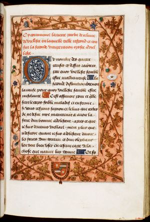 Coat of arms of Adolf of Cleves