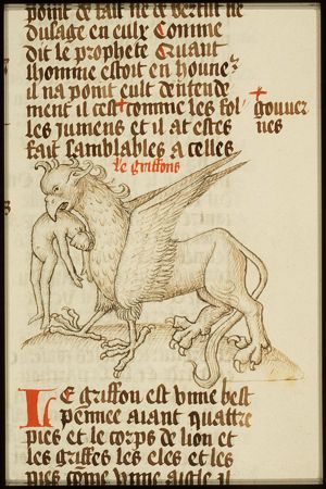 Griffin