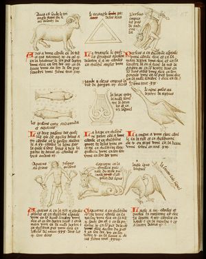Zodiacal constellation: Aries (March)