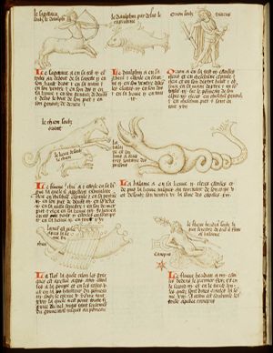 Zodiacal constellation: Sagittarius (November)
