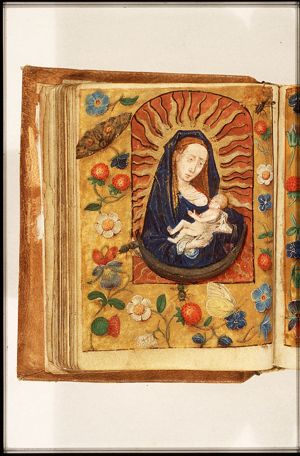 Madonna: Mary (standing) on the crescent, holding the Christ-child; Lactation