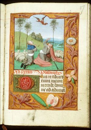 The annunciation of Christ's birth to the shepherds