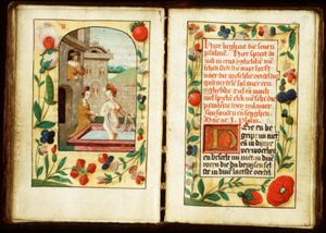 David sees Bathsheba bathing from a window of his palace