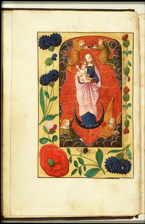 Madonna: Mary <standing> on the crescent, holding the Christ-child