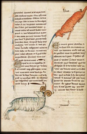 Daniel's vision: the goat with one horn meets the ram with two unequal horns