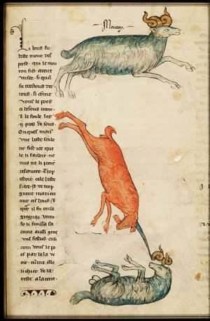 Daniel's vision: the ram; the fight between the goat and the ram