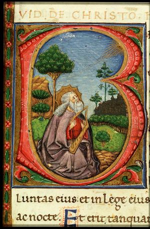 David playing the harp