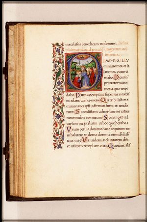 The coronation of David