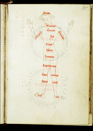 Zodiacal man