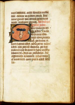 The Holy Wound in Christ's Right Foot