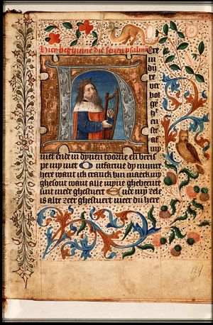 David playing the harp