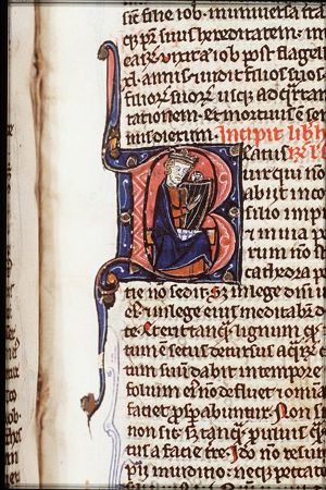 David playing the harp
