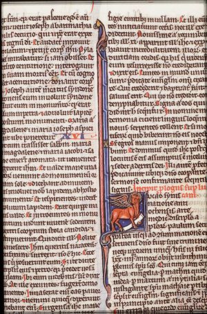 The symbol of the Evangelist St. Luke: the ox