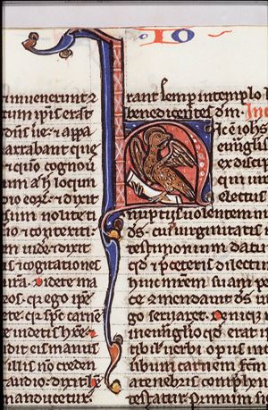 The symbol of the evangelist St. John: the eagle