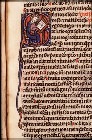 The Evangelist St. John writing