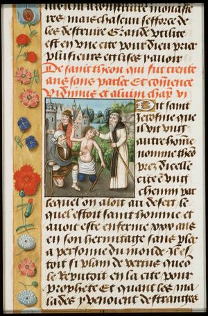 St. Theon heals the sick