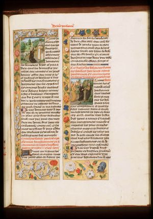 St. Pachomius prays that he will never need sleep again