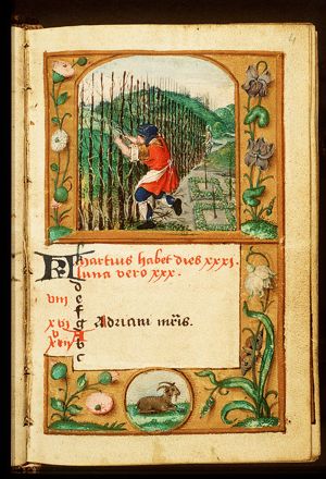 March: a man pruning vines