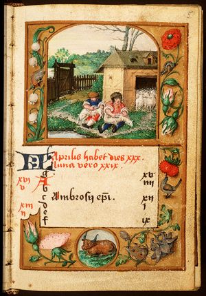April: men shearing sheep