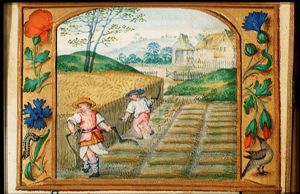 July: men reaping corn