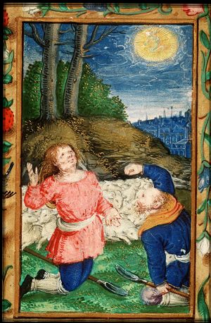 The annunciation of Christ's birth to the shepherds