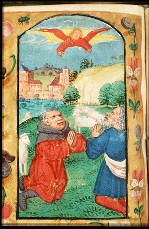 The annunciation of Christ's birth to the shepherds