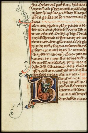 David playing the harp