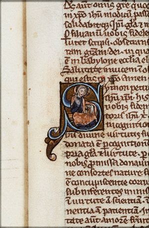 St. Peter with a book