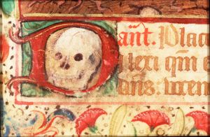 A skull