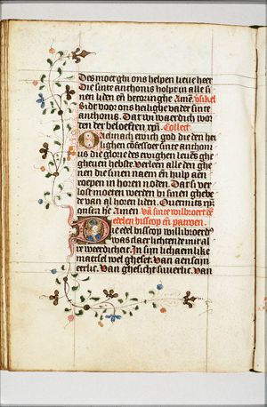 St. Willibrord
