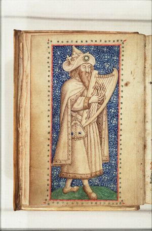 David playing the harp