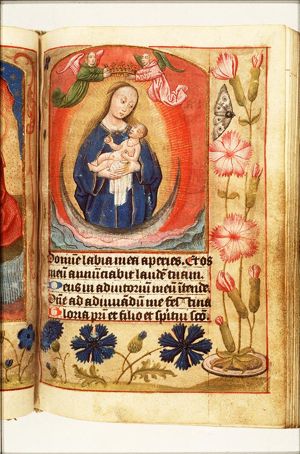 Madonna: Mary <standing> on the crescent, holding the Christ-child, is crowned by two angels