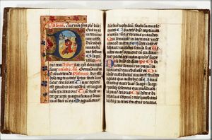 The annunciation of Christ's birth to the shepherds