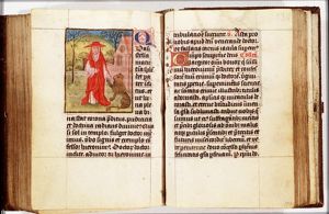 St. Jerome as a cardinal with the lion