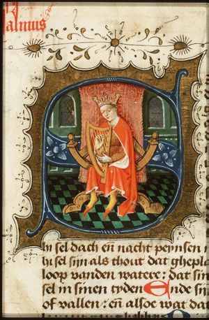David playing the harp