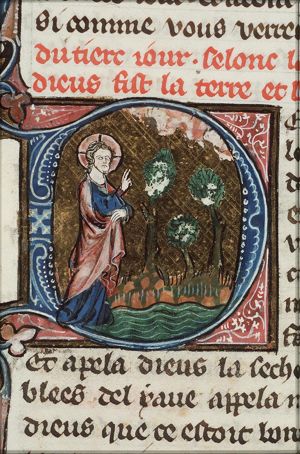 The Creation: division of sea and earth; creation of trees and plants