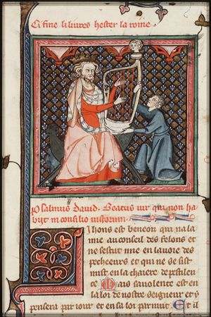 David playing the harp