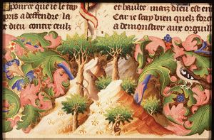 God with St. Augustine, St. Gregory the Great, St. Ambrose and St. Jerome