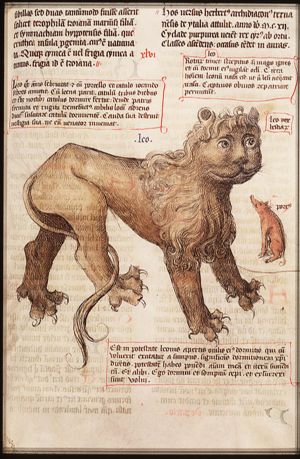 Lion
