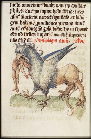 Griffin