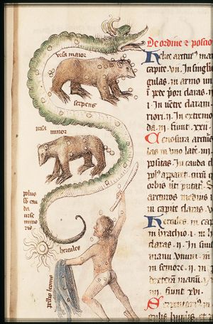 Serpent
