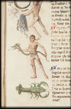 Constellation: Hercules with serpent