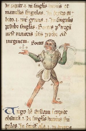 Constellation: Boötes holding a sickle(?)