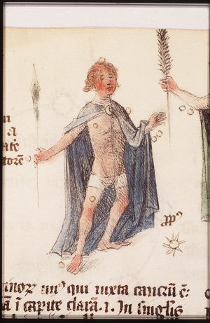 Zodiacal constellation: Gemini (Castor and Pollux) (May)