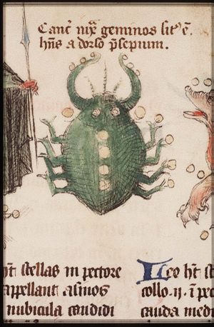 Zodiacal constellation: Cancer (June)