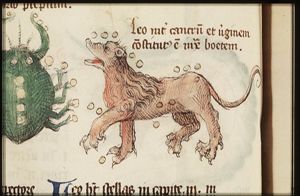 Zodiacal constellation: Leo (July)