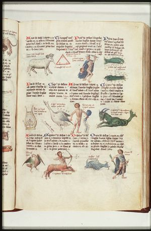 Zodiacal constellation: Aries (March)