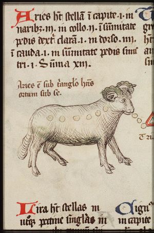 Zodiacal constellation: Aries (March)