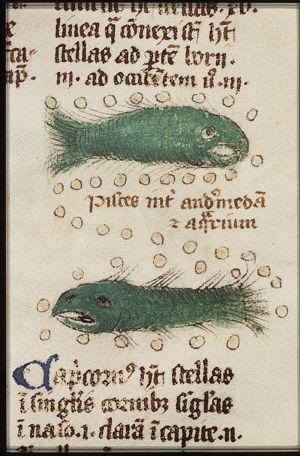 Zodiacal constellation: Pisces (February)
