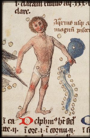 Zodiacal constellation: Aquarius (January)